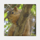 Recherche de cute photographie Image