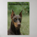 Recherche de canines posters Animaux de compagnie
