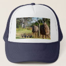 Recherche de poussin casquettes Oiseau