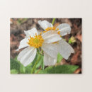 Recherche de printemps puzzles Moderne