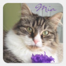 Recherche de mia Pour tous