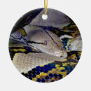 Zoek naar python ornamenten Dier