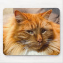 Recherche de gingembre tapis souris Orange