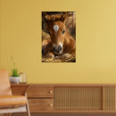 Zoek naar veulen posters Schattig