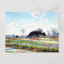 Zoek naar tulip fields briefkaarten Nederland