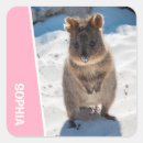 Recherche de quokka autocollants Australie