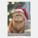 Recherche de humour animal cuisine linges Amusant