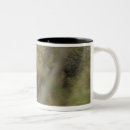 Recherche de tête loup tasses Nature