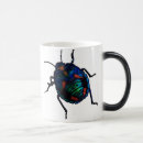 Recherche de scarabées tasses Animal