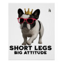 Recherche de bouledogue français posters Chiot