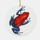 Recherche de de grenouille ornements Faune