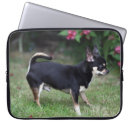 Zoek naar chihuahua hoesjes Korte haren