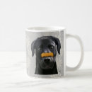Recherche de labrador tasses Steampunk