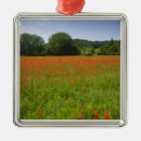Recherche de champ ornements Fleur