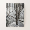 Recherche de état de nature Arbres