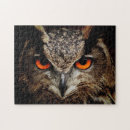 Recherche de yeux oranges Hibou