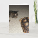 Recherche de abréviation vœux cartes Tabby