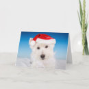 Zoek naar kerstkaart westie kaarten Vakantie