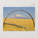 Recherche de tuyau cartes postales Photographie