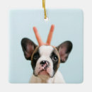 Recherche de amoureux des animaux ornements Pour animal de compagnie