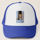 Recherche de fenêtres casquettes Chat