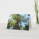 Recherche de kentucky vœux cartes Nature