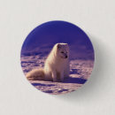 Zoek naar winter buttons Foto