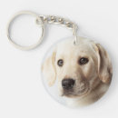 Zoek naar gouden labrador sleutelhangers Schattig