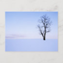 Zoek naar panorama briefkaarten Sneeuw