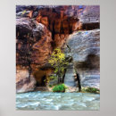 Recherche de canyon de zion posters Photographie