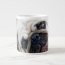 Recherche de inclinaison tasses Chien