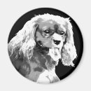 Zoek naar zwarte honden magneten Spaniel