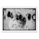 Recherche de fourmis cartes postales Macro