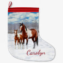Recherche de poulain chaussette de noël Cheval