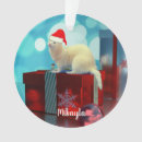 Recherche de furet ornements Chapeau santa