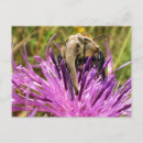 Zoek naar grappige insecten posters Raar