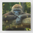 Recherche de gorilla horloges Primate