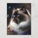 Recherche de whimsical cat posters Amoureux des chats
