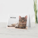 Recherche de chaton drôle vœux cartes Vétérinaire