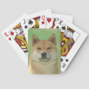 Recherche de shiba jeux de cartes Chien