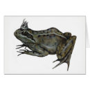 Recherche de prince de grenouille Baiser