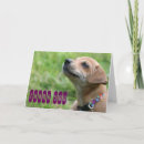 Recherche de chiwawas vœux cartes Chiot