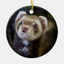 Recherche de furet ornements Animal