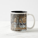 Recherche de namibie tasses Paysage