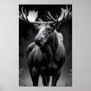 Recherche de wildlife posters Animal