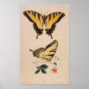 Zoek naar vintage butterfly posters Art