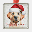 Recherche de labrador retriever ornements Noël