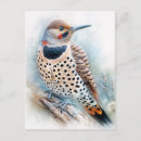 Recherche de oiseau migrateur cartes postales Faune
