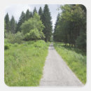 Zoek naar groene boom stickers Buiten