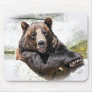 Recherche de ours brun Mignon